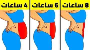 سر بسيط لخسارة الوزن… عادة ليلية يعتمد عليها مشاهير هوليوود قبل النوم